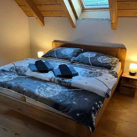 Roubenka Vanedi Tatil Evi Olesnice v Orlickych horach